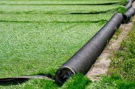 grass